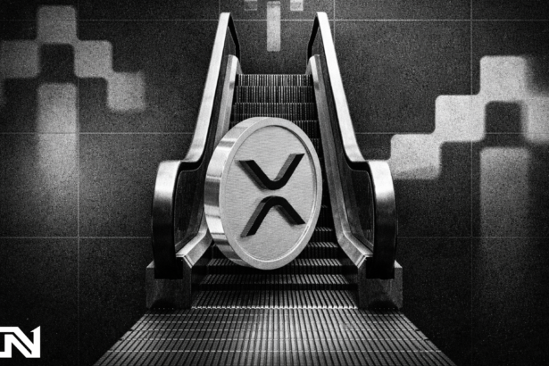 XRP Ledger Stablecoin Supply