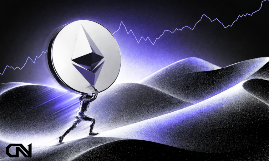 rollup fees and sequencer risk