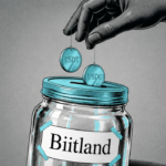 biitland.com stablecoins safety audit 2026