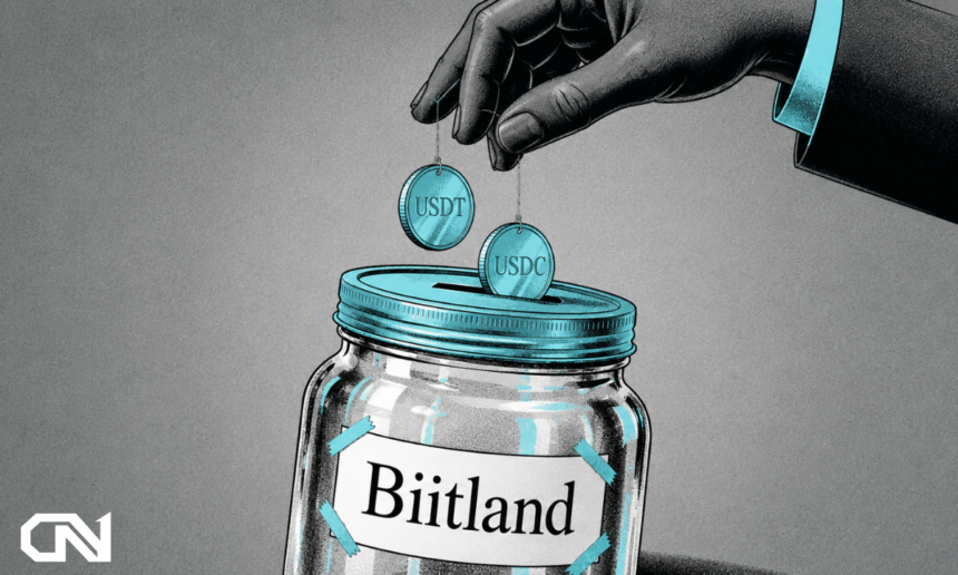 biitland.com stablecoins safety audit 2026