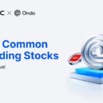 Nine Ondo Tokenized Stock